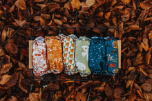 Load image into Gallery viewer, The Woods Collection