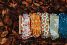 Load image into Gallery viewer, The Woods Collection