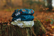 Load image into Gallery viewer, Woodland wonders Trio