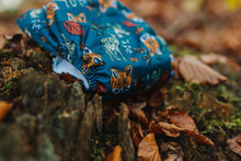 Load image into Gallery viewer, Fox and the fawn