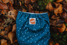 Load image into Gallery viewer, Snow Idea