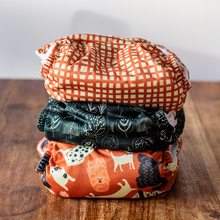 Load image into Gallery viewer, The Dog Walk Trio