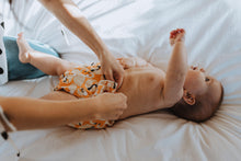 Load image into Gallery viewer, Putting On Swan In A Million Cloth Nappy Design Side View