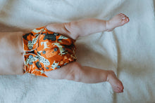 Load image into Gallery viewer, Baby Wearing Barking Mad Cloth Nappy Design Front View
