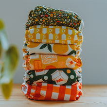 Load image into Gallery viewer, The Picnic Collection